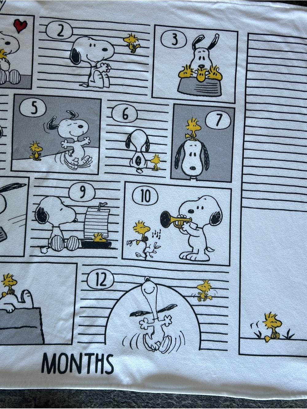Peanuts Snoopy & Woodstock Milestone Blanket in White, Gray, Yellow